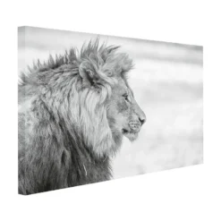 Canvasbilde