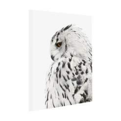 Canvasbilde