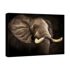 Canvasbilde
