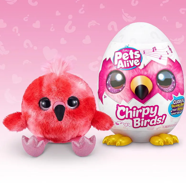 Cirphy bird
