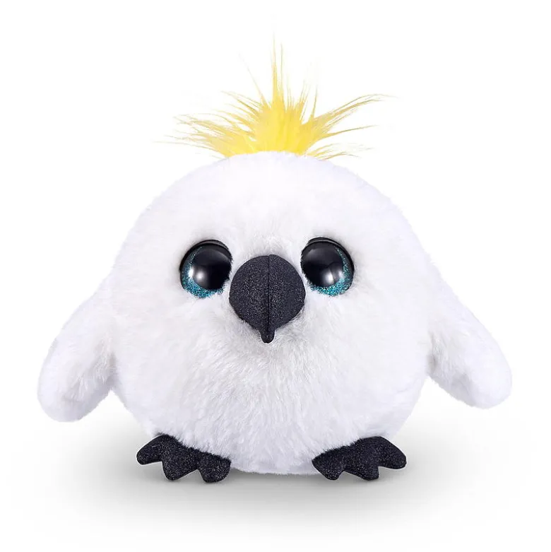 Cirphy bird
