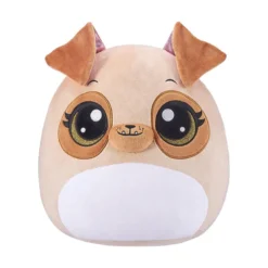 Coco Surprise