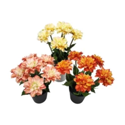 Dahlia 30 cm