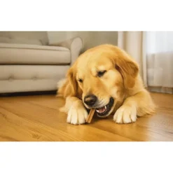 Dental sticks L
