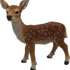 Dåhjort