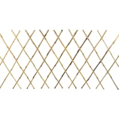 Espalier