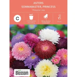 Frø asters
