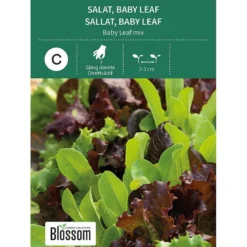 Frø baby leaf salat