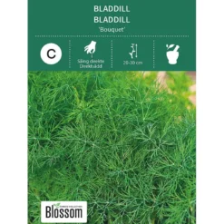 Frø bladdill