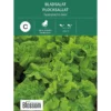 Frø bladsalat