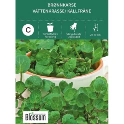 Frø brønnkarse