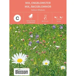 Frø engblomster