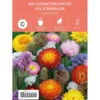 Frø evighetsblomster