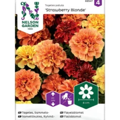 Frø fløyelsblomst