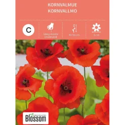 Frø kornvalmue