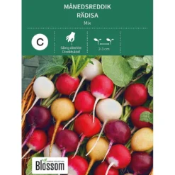 Frø månedsreddik