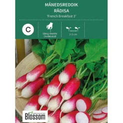 Frø månedsreddik