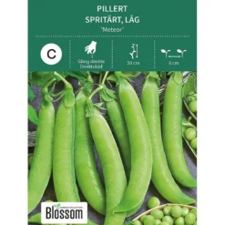 Frø pillert