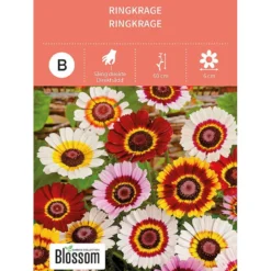 Frø ringkrage