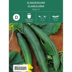 Frø slangeagurk