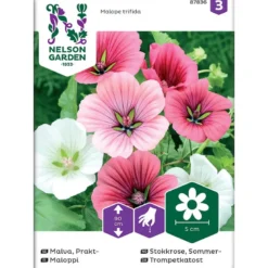Frø sommerstokkrose