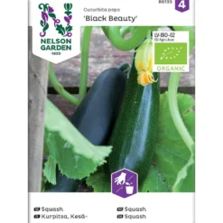 Frø squash