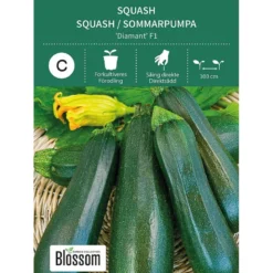 Frø squash
