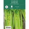 Frø stilkselleri