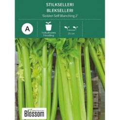 Frø stilkselleri
