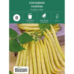 Frø voksbønne