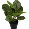 Grønnplante