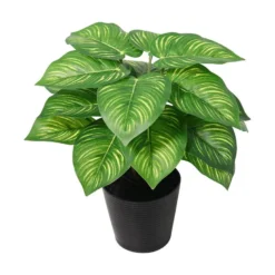 Grønnplante