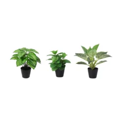 Grønnplante