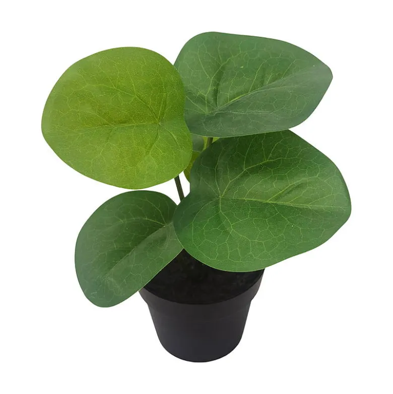 Grønnplante