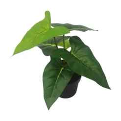 Grønnplante
