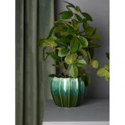 Grønnplante