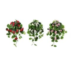 Hengepelargonia
