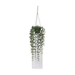 Hengeplante
