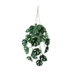 Hengeplante