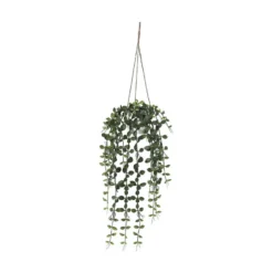 Hengeplante