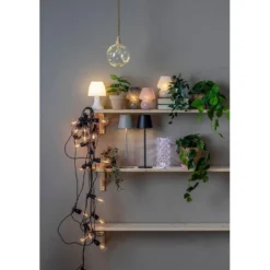 Hengeplante