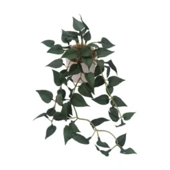Hengeplante