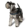 Hundesele
