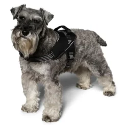 Hundesele