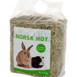 Høy
