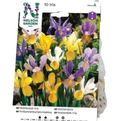 Iris