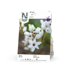 Ixia