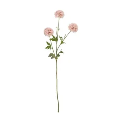 Kinesisk aster