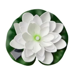Lotus flyteblomst