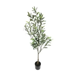 Oliventre